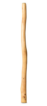 Natural Finish Didgeridoo (TW1573)
